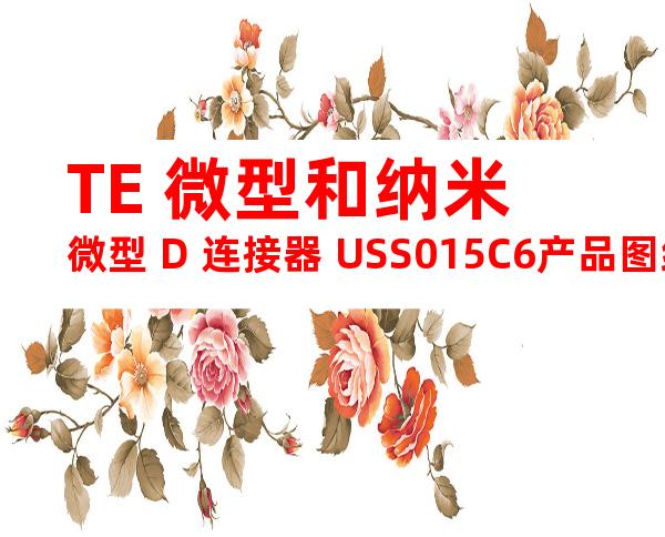 TE 微型和纳米微型 D 连接器 USS015C6产品图纸